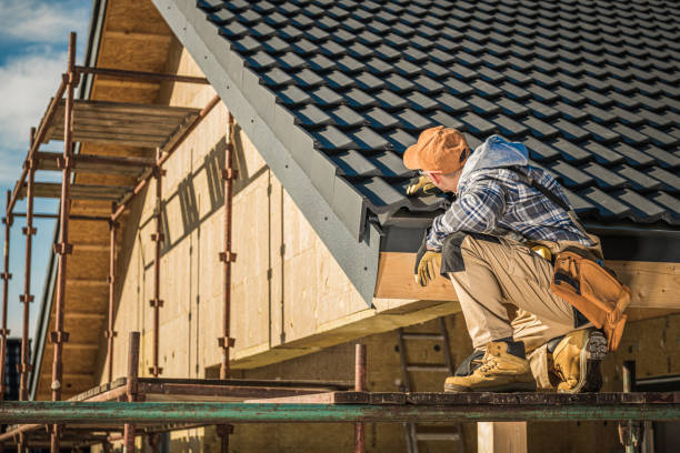 Best Roof Ventilation Installation  in Apple Mountain Lake, VA
